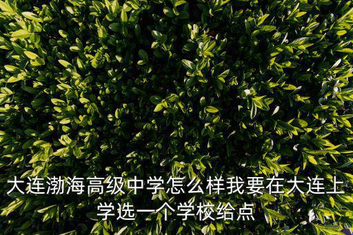 大連渤海高級(jí)中學(xué)怎么樣我要在大連上學(xué)選一個(gè)學(xué)校給點(diǎn)