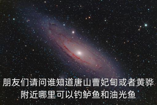 油光魚，朋友們請問誰知道唐山曹妃甸或者黃驊附近哪里可以釣鱸魚和油光魚