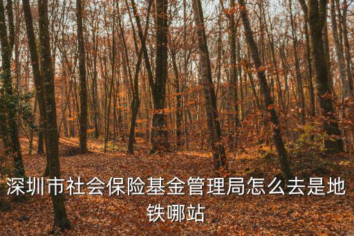 深圳市社會保險基金管理局怎么去是地鐵哪站