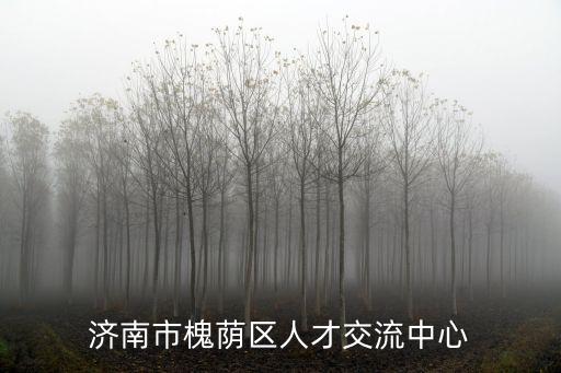 濟南市槐蔭區(qū)人才交流中心