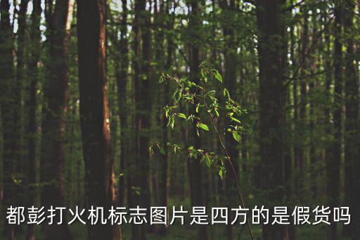 都彭打火機標志圖片是四方的是假貨嗎