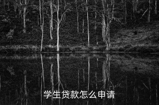 學生貸款，學生貸款有哪些呢