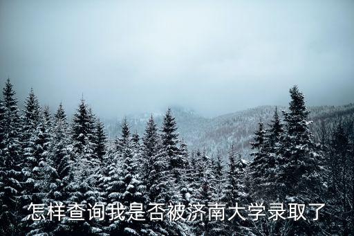 濟(jì)南大學(xué)錄取查詢，濟(jì)南大學(xué)校院信息網(wǎng)
