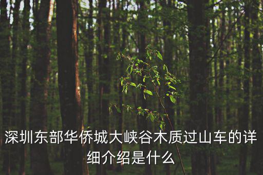 木質(zhì)過(guò)山車，為什么木質(zhì)過(guò)山車嚇人
