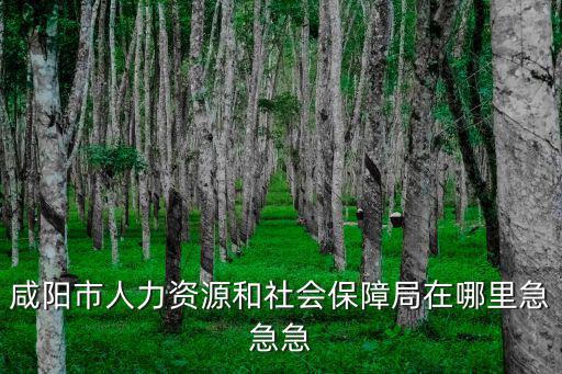 咸陽市人力資源和社會保障局在哪里急急急