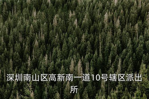 深圳南山區(qū)高新南一道10號(hào)轄區(qū)派出所
