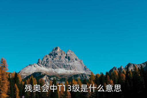 殘奧會中T13級是什么意思