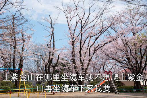 上紫金山在哪里坐纜車我不想爬上紫金山再坐纜車下來我要
