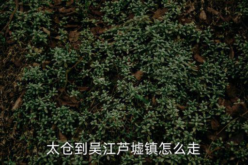 太倉到吳江蘆墟鎮怎么走