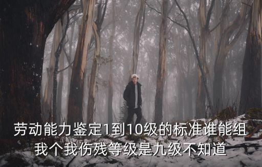 勞動能力鑒定1到10級的標(biāo)準(zhǔn)誰能組我個我傷殘等級是九級不知道