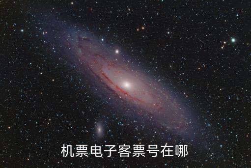 電子客票號，機(jī)票電子客票號在哪