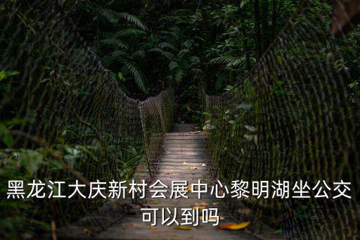 黑龍江大慶新村會展中心黎明湖坐公交可以到嗎