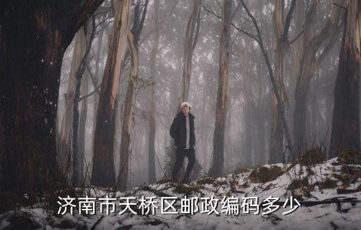 濟南市天橋區郵政編碼多少