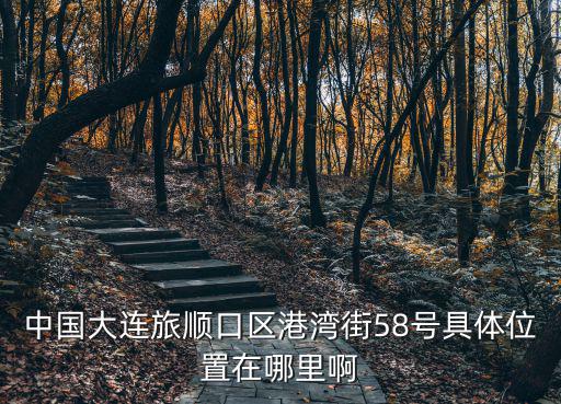 中國大連旅順口區港灣街58號具體位置在哪里啊