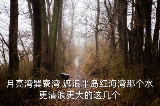 月亮灣巽寮灣 遮浪半島紅海灣那個水更清浪更大的這幾個