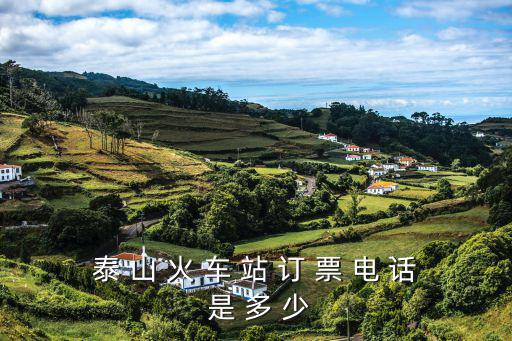 泰 山 火 車 站 訂 票 電 話 是 多 少