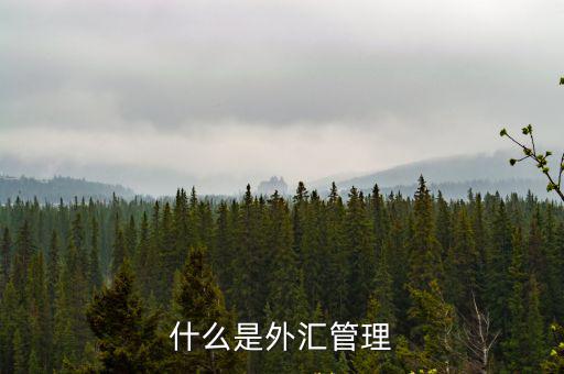 什么是外匯管理