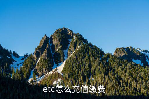 etc怎么充值繳費