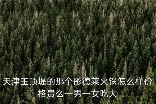 天津王頂堤的那個彤德萊火鍋怎么樣價格貴么一男一女吃大