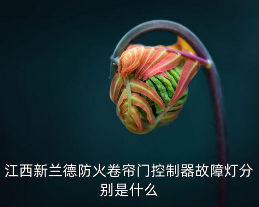 新蘭德，新蘭德實(shí)力強(qiáng)
