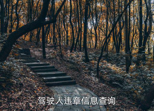 駕駛人信息查詢，駕駛證人員查詢