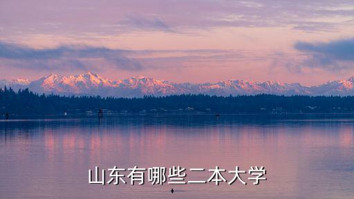 山東二本，山東有哪些二本大學