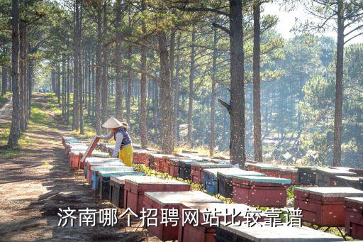 濟(jì)南哪個(gè)招聘網(wǎng)站比較靠譜