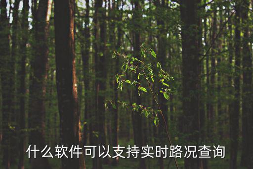實時路況查詢，實時路況在搜搜街景中可以查看么
