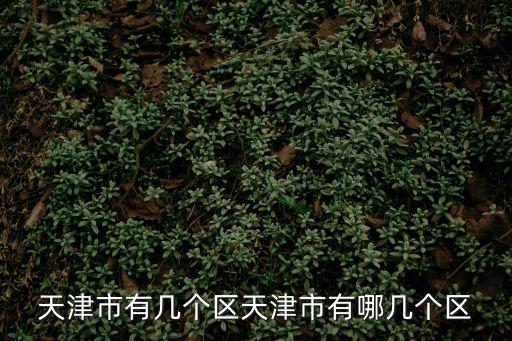 天津市有幾個區天津市有哪幾個區