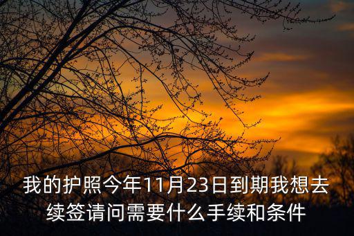 我的護(hù)照今年11月23日到期我想去續(xù)簽請問需要什么手續(xù)和條件