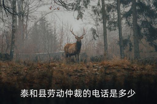 仲裁咨詢電話，泰和縣勞動(dòng)仲裁的電話是多少