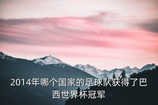 2014年哪個國家的足球隊獲得了巴西世界杯冠軍