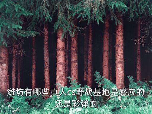 cs野戰(zhàn)，玉溪大營(yíng)街CS真人野戰(zhàn)多少錢一個(gè)人