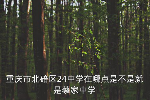 24中學(xué)在哪，邯鄲市24中在哪