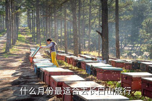 什么月份最適合去長白山旅行