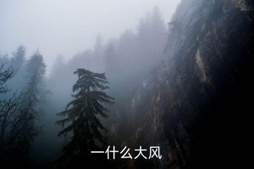 一什么大風