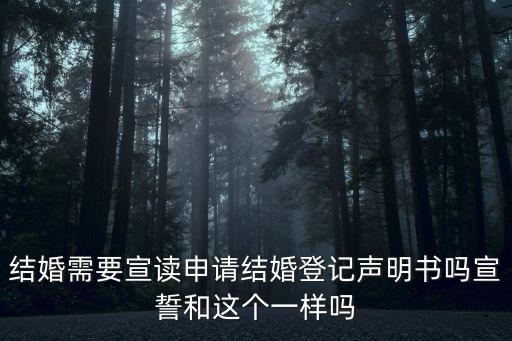 申請(qǐng)結(jié)婚登記聲明書(shū)，結(jié)婚需要宣讀申請(qǐng)結(jié)婚登記聲明書(shū)嗎宣誓和這個(gè)一樣嗎