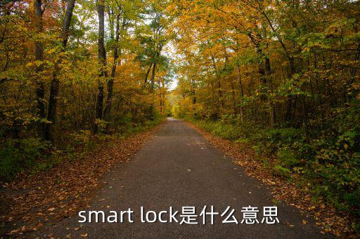 smart lock是什么意思