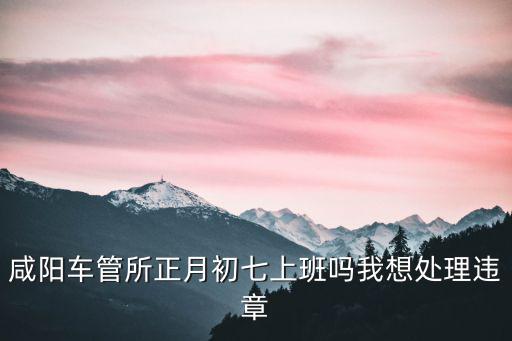 咸陽(yáng)車管所，咸陽(yáng)市有幾個(gè)車管所