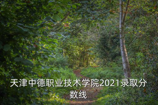天津中德職業(yè)學(xué)院，天津中德職業(yè)技術(shù)學(xué)院2021錄取分?jǐn)?shù)線(xiàn)