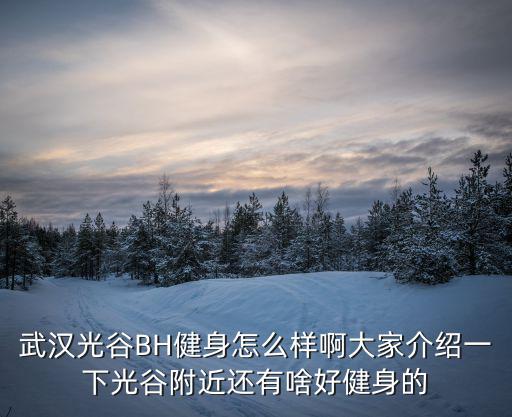 bh健身，BH Fitness跑步機怎么樣