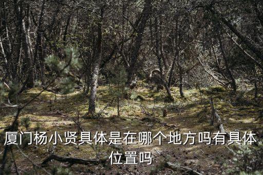 廈門楊小賢具體是在哪個地方嗎有具體位置嗎