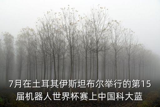機器人世界杯，第19屆機器人世界杯有哪些國家參賽