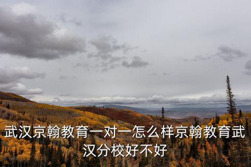 武漢京翰教育一對一怎么樣京翰教育武漢分校好不好