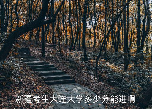 大連大學招生，今年大連大學征集最低分應該多少