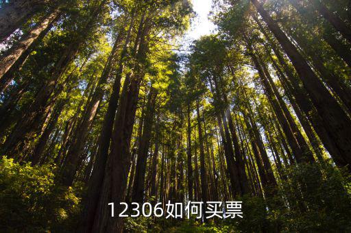 12306鐵路訂票，鐵路12306高鐵怎么買票