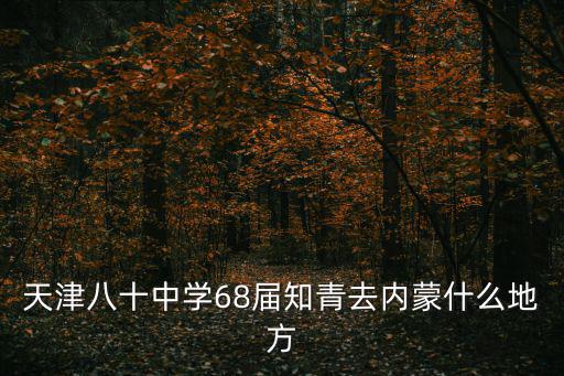 天津八十中學68屆知青去內蒙什么地方