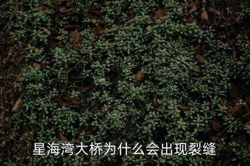 星海灣大橋，星海灣大橋怎么樣
