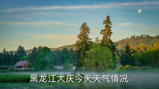 黑龍江大慶今天天氣情況