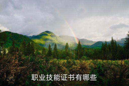 職業(yè)技能證書有哪些